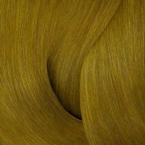 Color Fusion 6Ag Ashgreen -  | L'Oréal Partner Shop