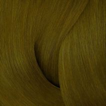 Color Fusion 4Ag Ash Green -  | L'Oréal Partner Shop