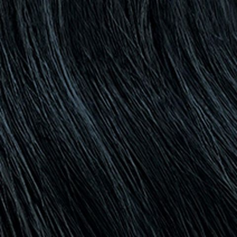 Chromatics 1Ab / 1.1 Ash Blue - Chromatics | L'Oréal Partner Shop