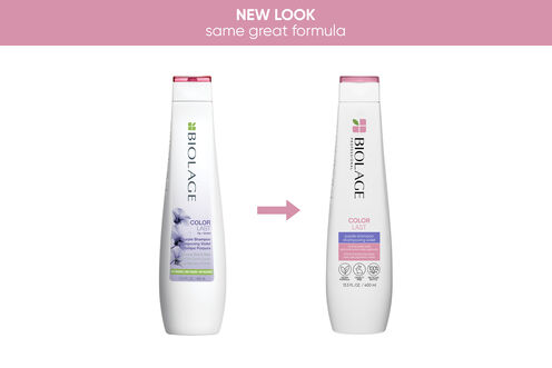 ColorLast Purple Shampoo - Matrix Retail | L'Oréal Partner Shop