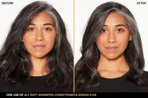 All Soft Shampoo With Argan Oil - Redken Haircare | L'Oréal Partner Shop