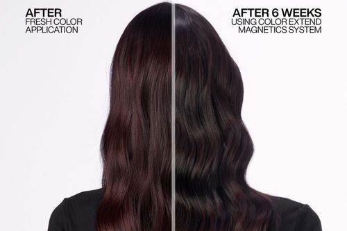 Color Extend Magnetics Sulfate-Free Shampoo - Redken Retail Haircare | L'Oréal Partner Shop