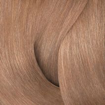 ShadesEQ Gloss 07NB Chestnut - Redken Color | L'Oréal Partner Shop