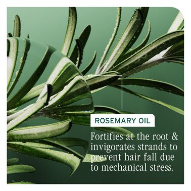 Full Rescue Invigorating Scalp Serum - Biolage Renovation NZ | L'Oréal Partner Shop