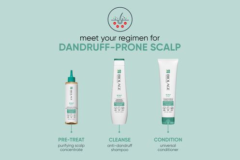 ScalpSync Anti-Dandruff Shampoo - NZ Matrix Treatment Offer | L'Oréal Partner Shop