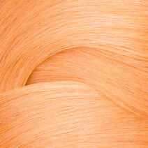 ShadesEQ Bonder Inside 10AA Butternut - Redken Color | L'Oréal Partner Shop