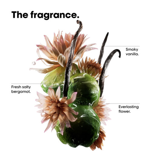 Absolut Repair Molecular Shampoo - L'Oréal Professionnel | L'Oréal Partner Shop