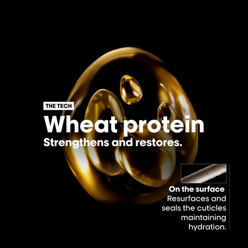 Absolut Repair Shampoo - NEW 500ML | L'Oréal Partner Shop