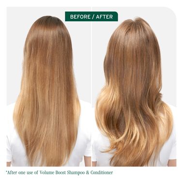 Volume Boost Shampoo - Biolage Renovation NZ | L'Oréal Partner Shop