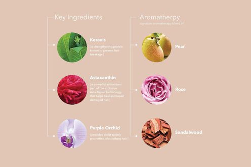 Smooth Perfection Conditioner - Backbar Smooth Perfection Conditioner - Backbar | L'Oréal Partner Shop