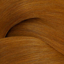 ShadesEQ Bonder Inside 06GB Toffee - Redken Color | L'Oréal Partner Shop