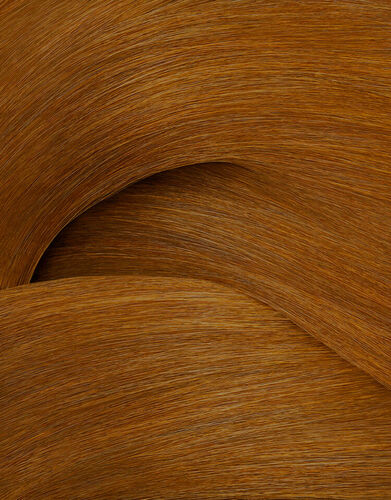 ShadesEQ Bonder Inside 06GB Toffee - Redken Color | L'Or&eacute;al Partner Shop