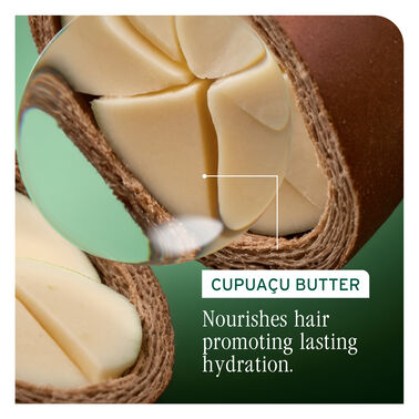 Ultra Hydra Source Daily Leave-In Cream - Biolage Renovation NZ | L'Oréal Partner Shop