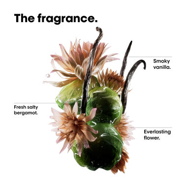 Absolut Repair Molecular Oil - Retail Opening Parcel | L'Oréal Partner Shop