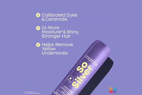 So Silver Pigmented Conditioner - NZ Matrix Treatment Offer So Silver Pigmented Conditioner - NZ Matrix Treatment Offer | L'Oréal Partner Shop