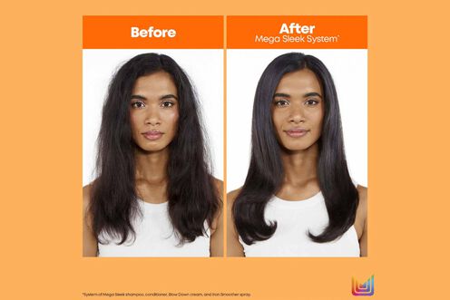 Mega Sleek Iron Smoother - Matrix Retail | L'Oréal Partner Shop