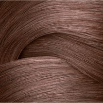 Chromatics Ultra Rich 6Ab / 6.1 Ash Blue - Chromatics | L'Oréal Partner Shop