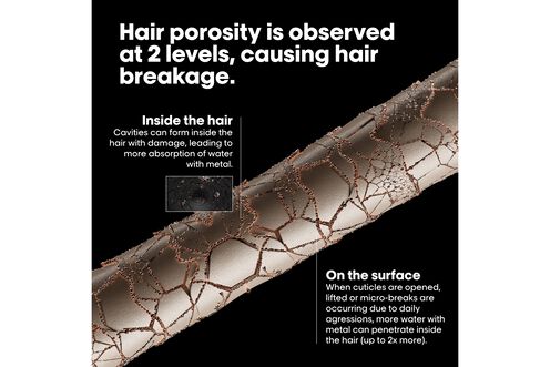 Metal Detox Pre-Shampoo Treatment - Metal Detox | L'Oréal Partner Shop